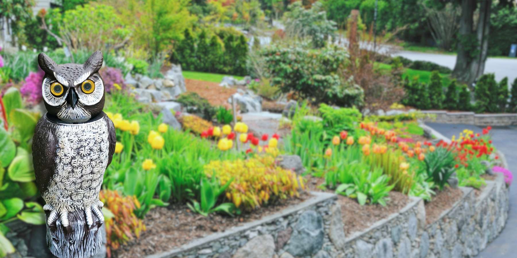 Cultivate Your Perfect Green Space